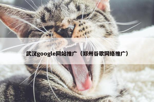 武汉google网站推广（郑州谷歌网络推广）
