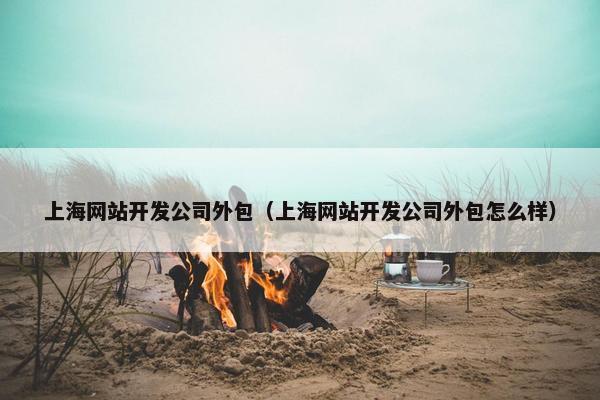 上海网站开发公司外包（上海网站开发公司外包怎么样）