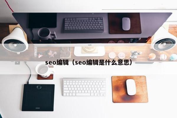 seo编辑（seo编辑是什么意思）