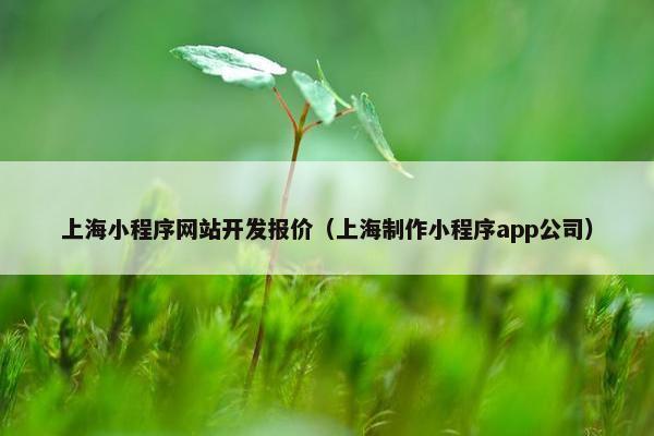 上海小程序网站开发报价（上海制作小程序app公司）