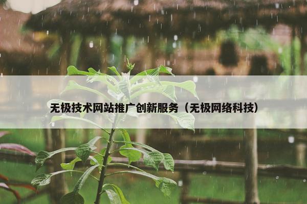 无极技术网站推广创新服务（无极网络科技）