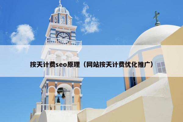 按天计费seo原理（网站按天计费优化推广）