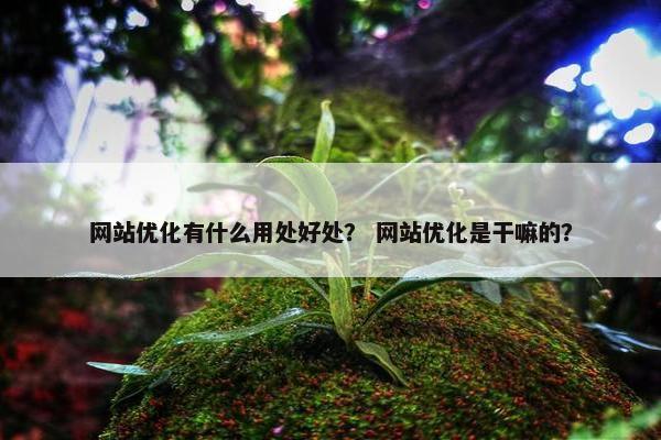 网站优化有什么用处好处？ 网站优化是干嘛的？