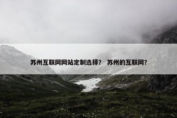苏州互联网网站定制选择？ 苏州的互联网？