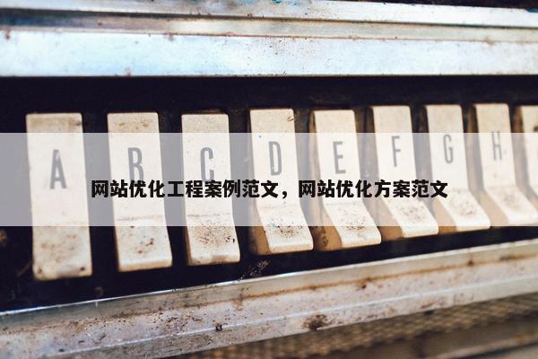 网站优化工程案例范文，网站优化方案范文