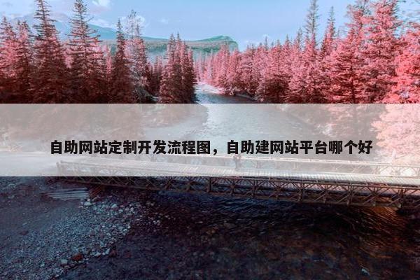 自助网站定制开发流程图，自助建网站平台哪个好