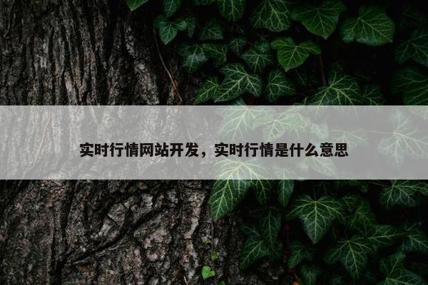 实时行情网站开发，实时行情是什么意思