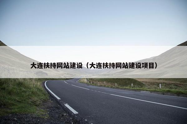大连扶持网站建设（大连扶持网站建设项目）