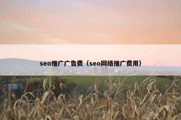 seo推广广告费（seo网络推广费用）