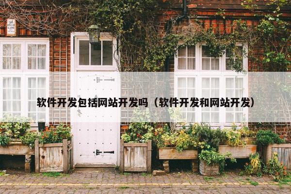 软件开发包括网站开发吗（软件开发和网站开发）