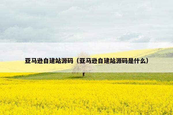 亚马逊自建站源码（亚马逊自建站源码是什么）