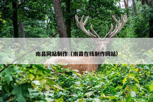 南昌网站制作（南昌在线制作网站）