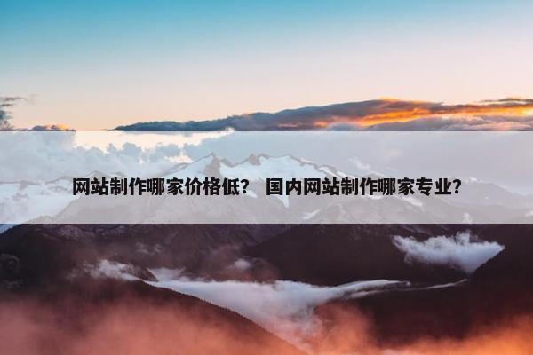 网站制作哪家价格低？ 国内网站制作哪家专业？