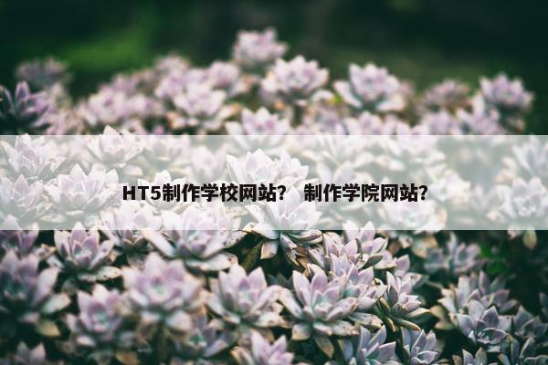 HT5制作学校网站？ 制作学院网站？