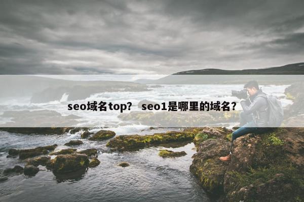 seo域名top？ seo1是哪里的域名？