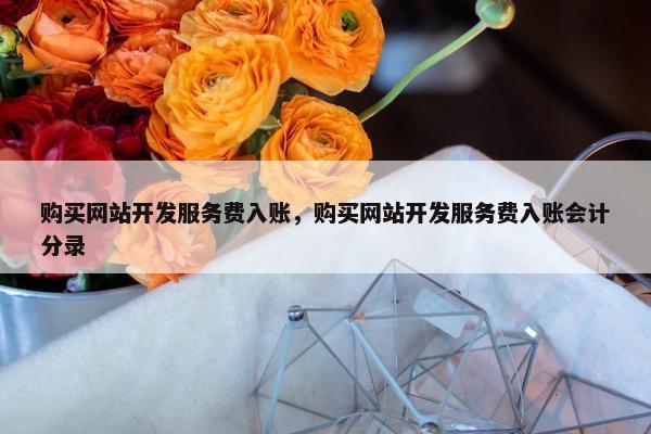 购买网站开发服务费入账，购买网站开发服务费入账会计分录