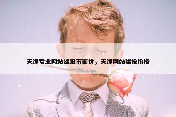 天津专业网站建设市面价，天津网站建设价格