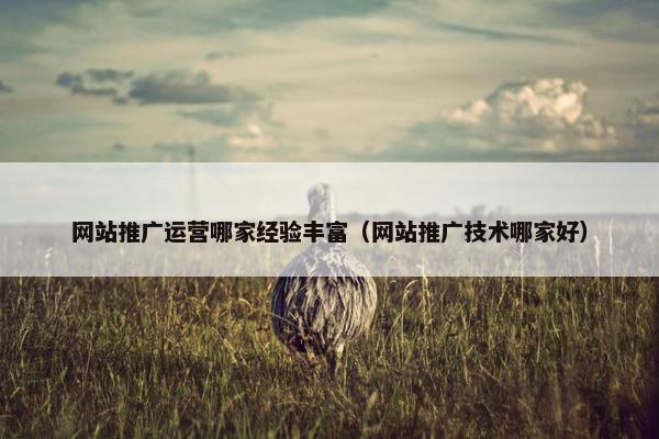 网站推广运营哪家经验丰富（网站推广技术哪家好）