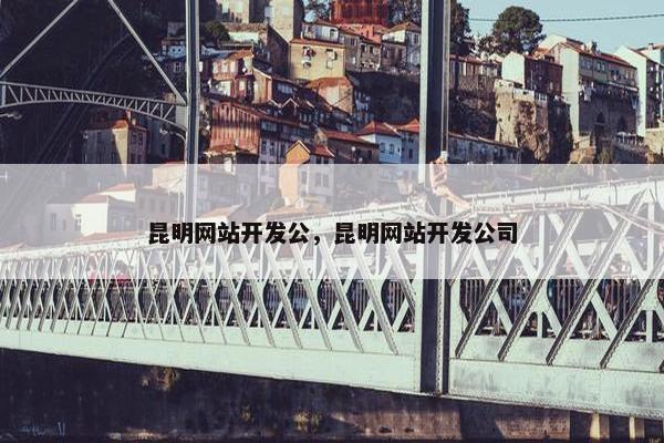 昆明网站开发公，昆明网站开发公司