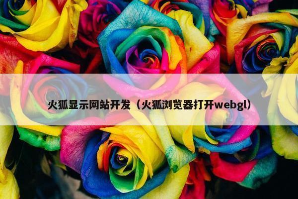 火狐显示网站开发（火狐浏览器打开webgl）