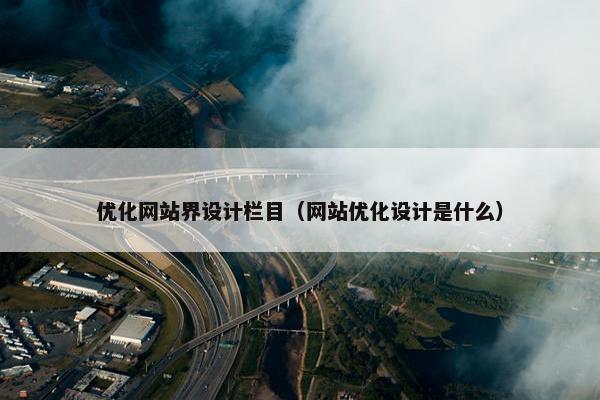 优化网站界设计栏目（网站优化设计是什么）