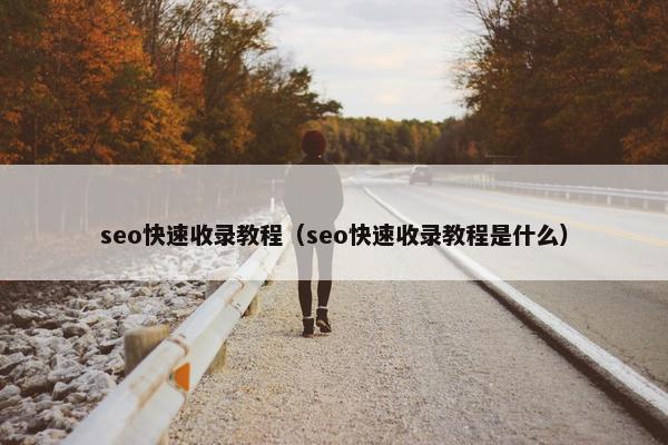 seo快速收录教程（seo快速收录教程是什么）
