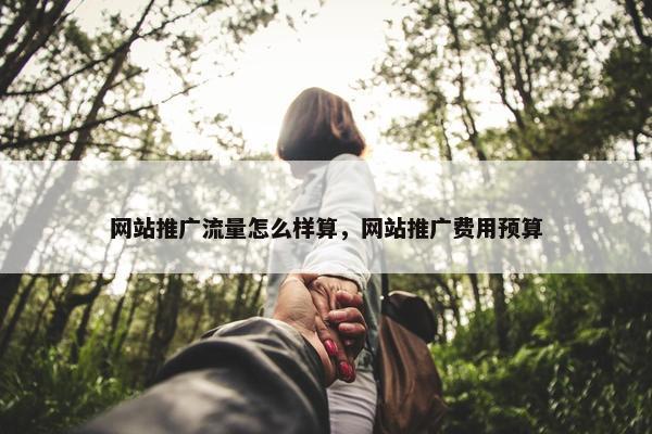 网站推广流量怎么样算，网站推广费用预算