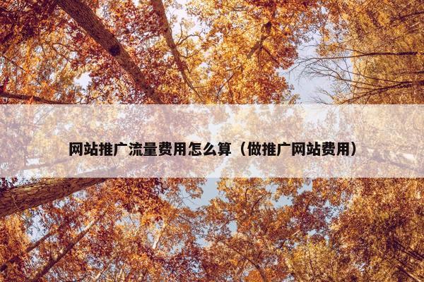 网站推广流量费用怎么算（做推广网站费用）