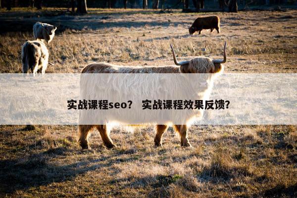 实战课程seo？ 实战课程效果反馈？