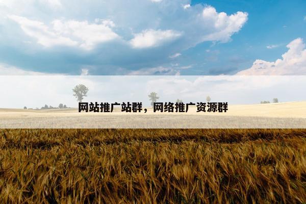 网站推广站群，网络推广资源群