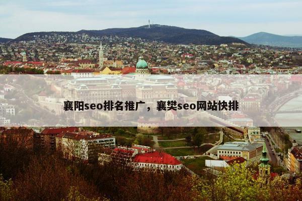 襄阳seo排名推广，襄樊seo网站快排