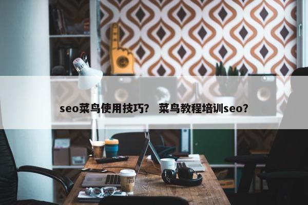 seo菜鸟使用技巧？ 菜鸟教程培训seo？