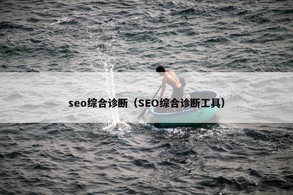 seo综合诊断（SEO综合诊断工具）