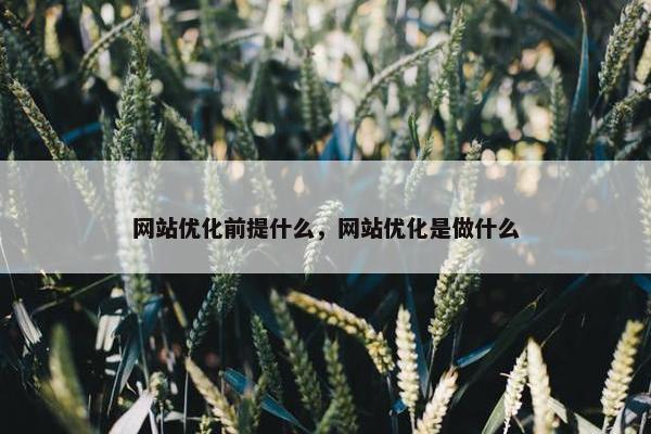 网站优化前提什么，网站优化是做什么