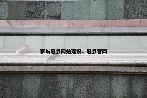 聊城冠县网站建设，冠县官网