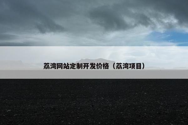 荔湾网站定制开发价格（荔湾项目）