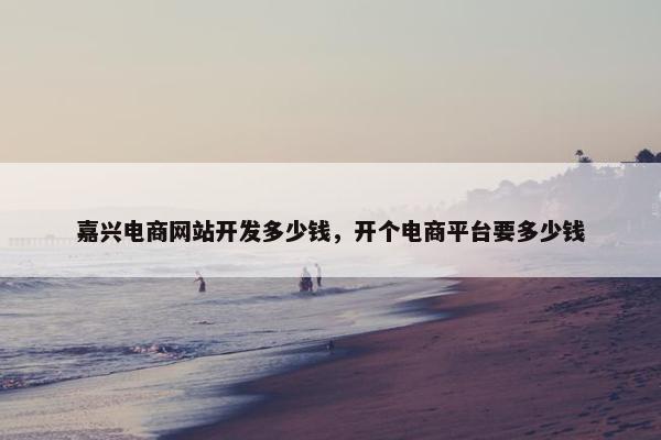 嘉兴电商网站开发多少钱，开个电商平台要多少钱