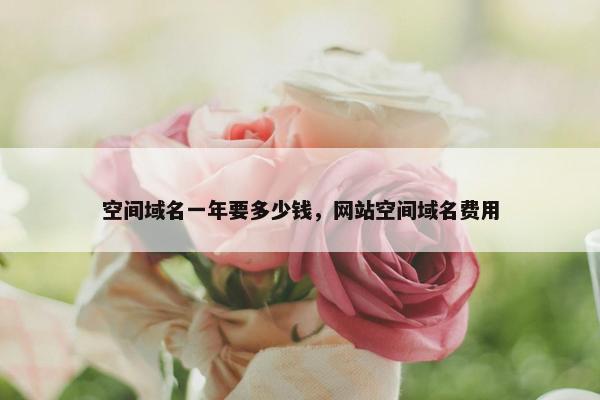 空间域名一年要多少钱，网站空间域名费用