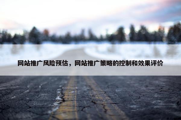 网站推广风险预估，网站推广策略的控制和效果评价