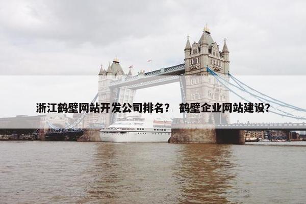 浙江鹤壁网站开发公司排名？ 鹤壁企业网站建设？