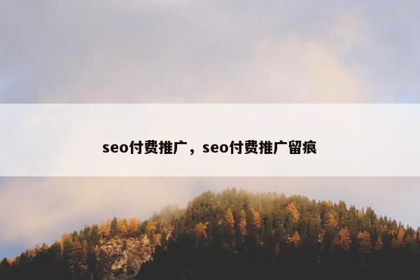 seo付费推广，seo付费推广留痕