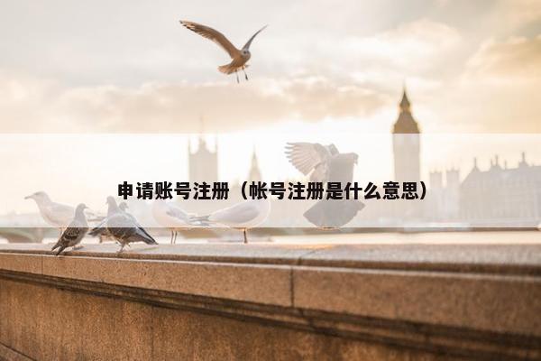 申请账号注册（帐号注册是什么意思）
