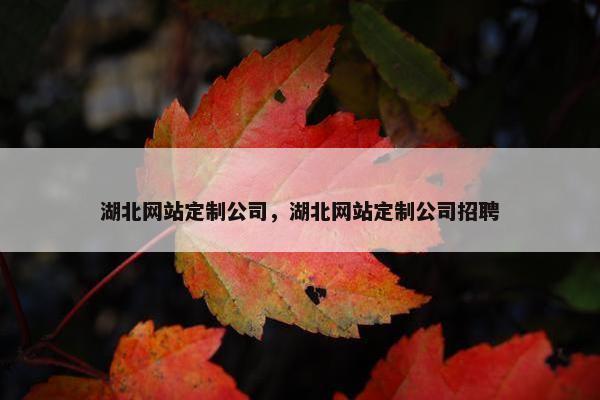 湖北网站定制公司，湖北网站定制公司招聘