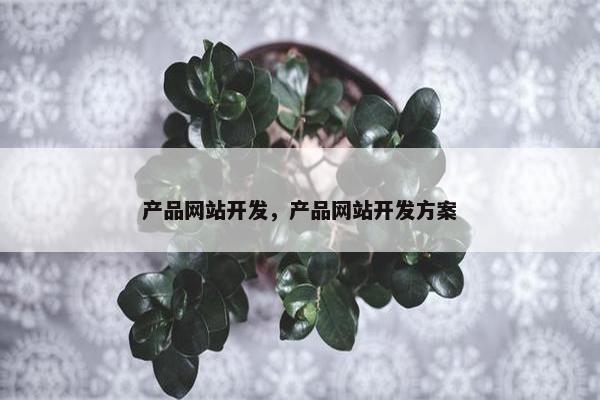 产品网站开发，产品网站开发方案