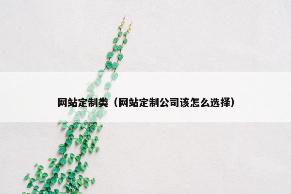 网站定制类（网站定制公司该怎么选择）