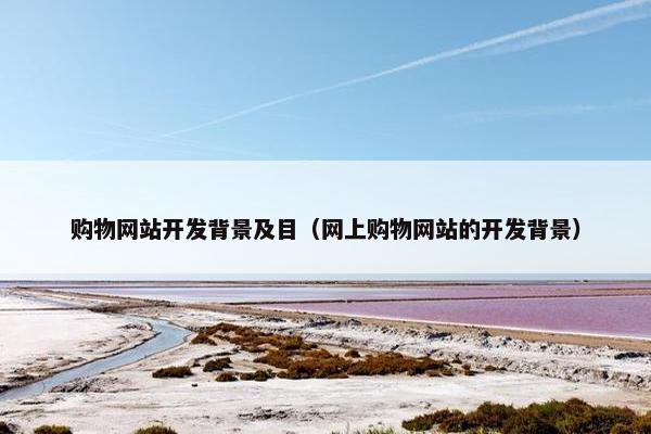 购物网站开发背景及目（网上购物网站的开发背景）