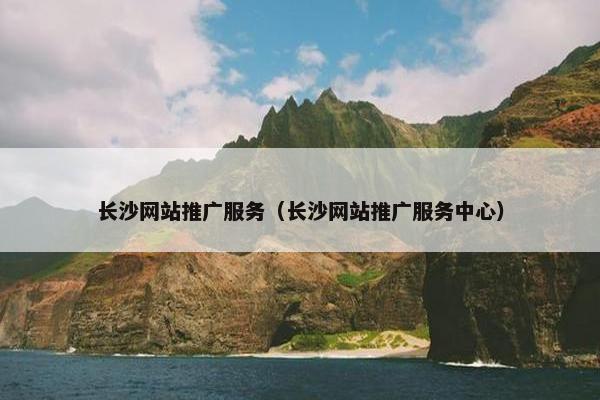 长沙网站推广服务（长沙网站推广服务中心）