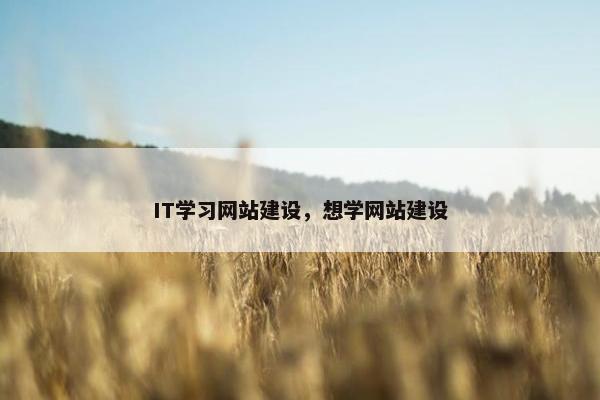 IT学习网站建设，想学网站建设