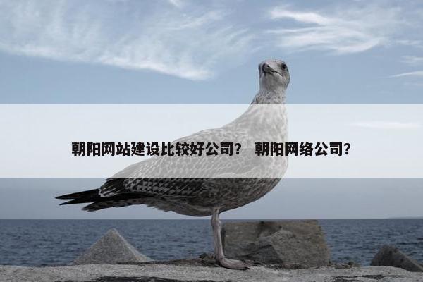 朝阳网站建设比较好公司？ 朝阳网络公司？