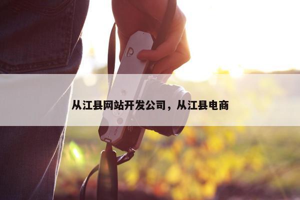 从江县网站开发公司，从江县电商